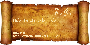 Hübsch Cézár névjegykártya